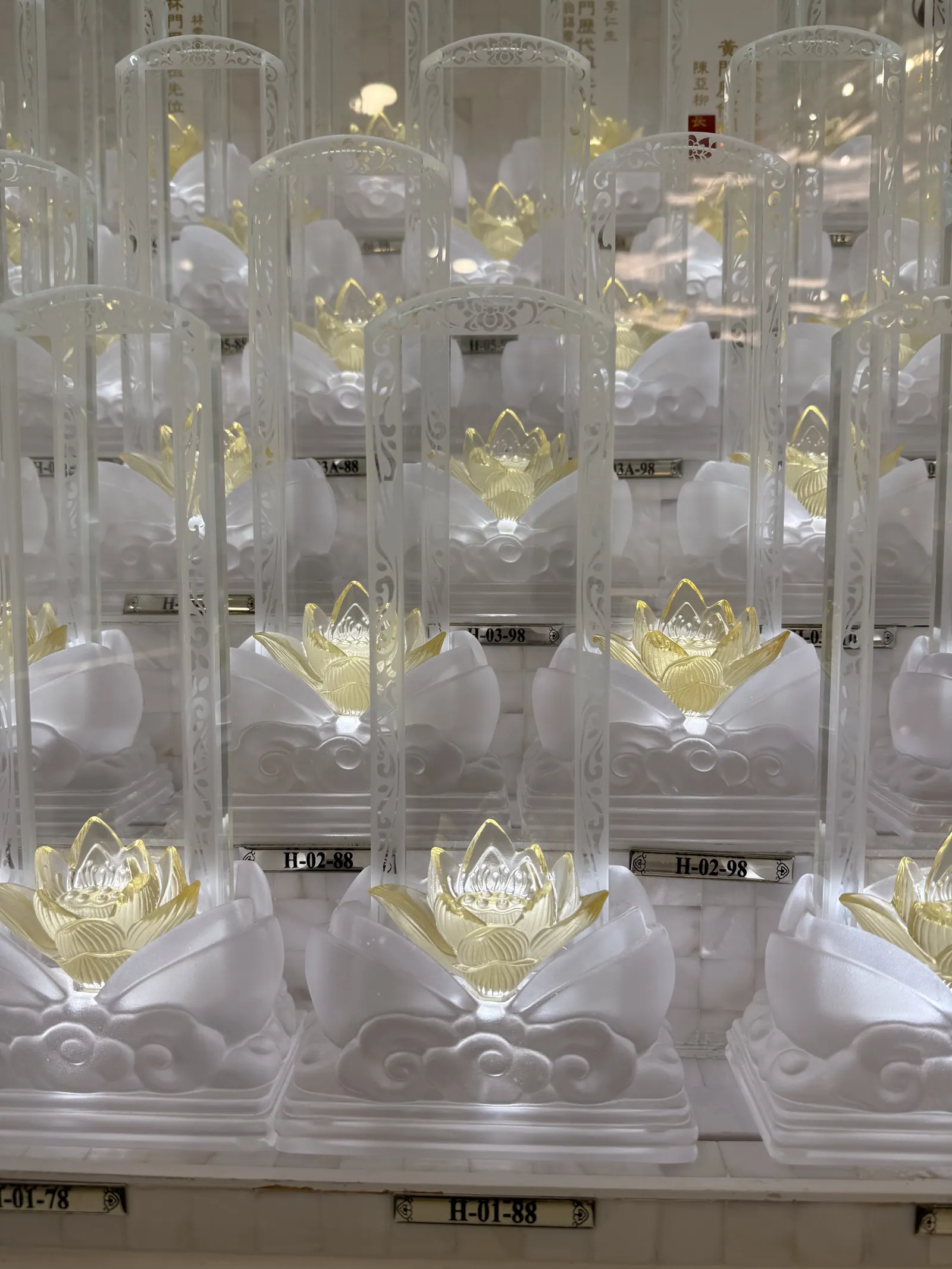 Rows of crystal ancestral tablets lit from within